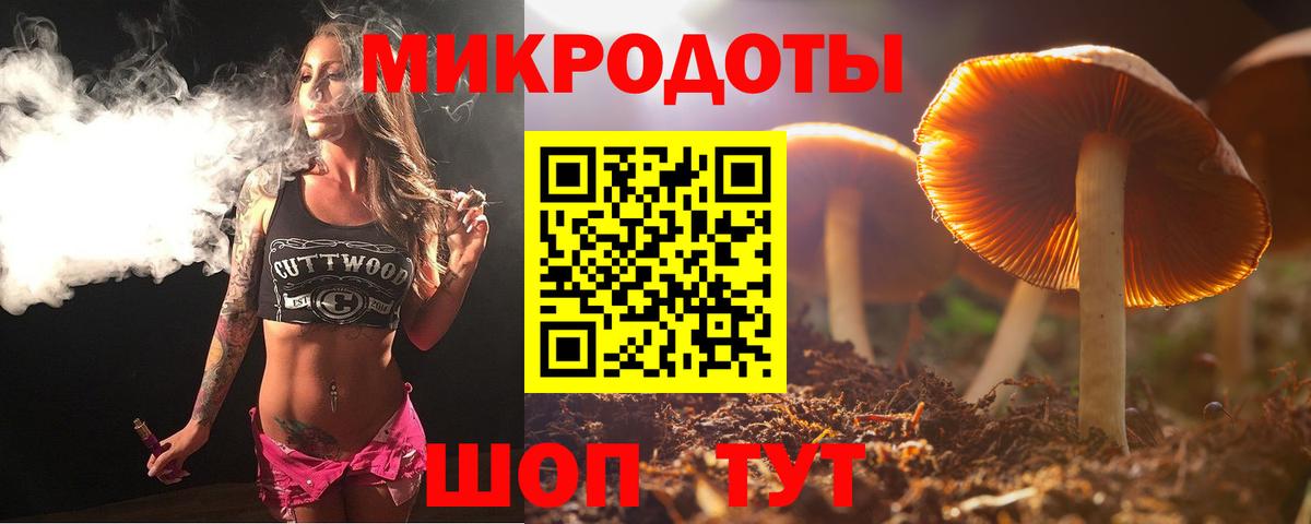 Дивногорск  Галлюциногенные грибы прущие грибы  Вход с VPN 