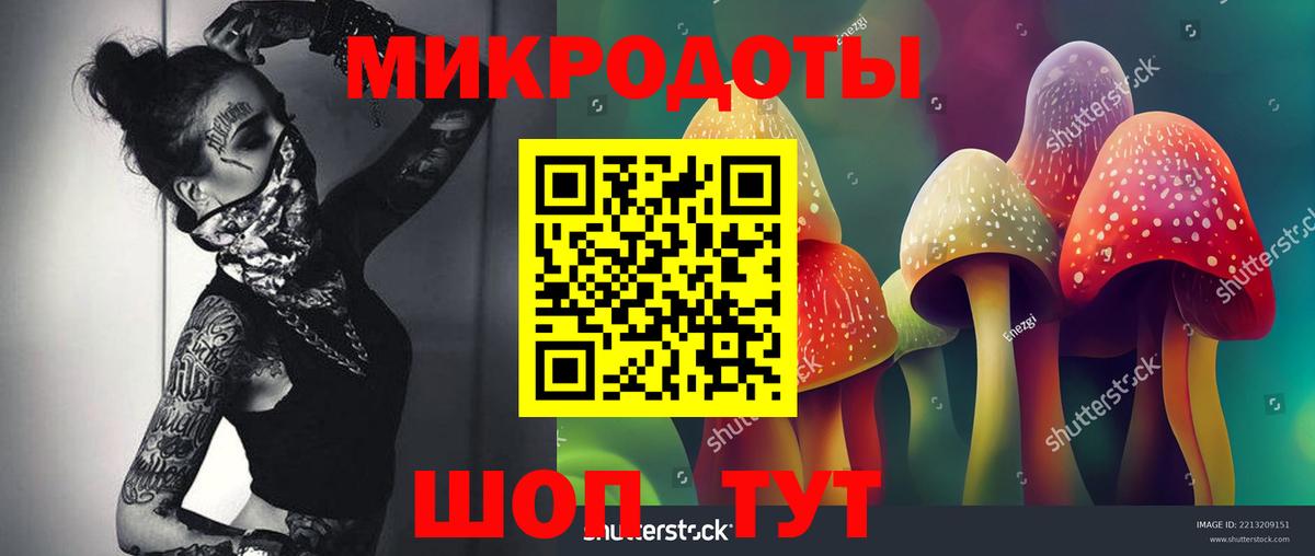 Псилоцибиновые грибы ЛСД Дивногорск